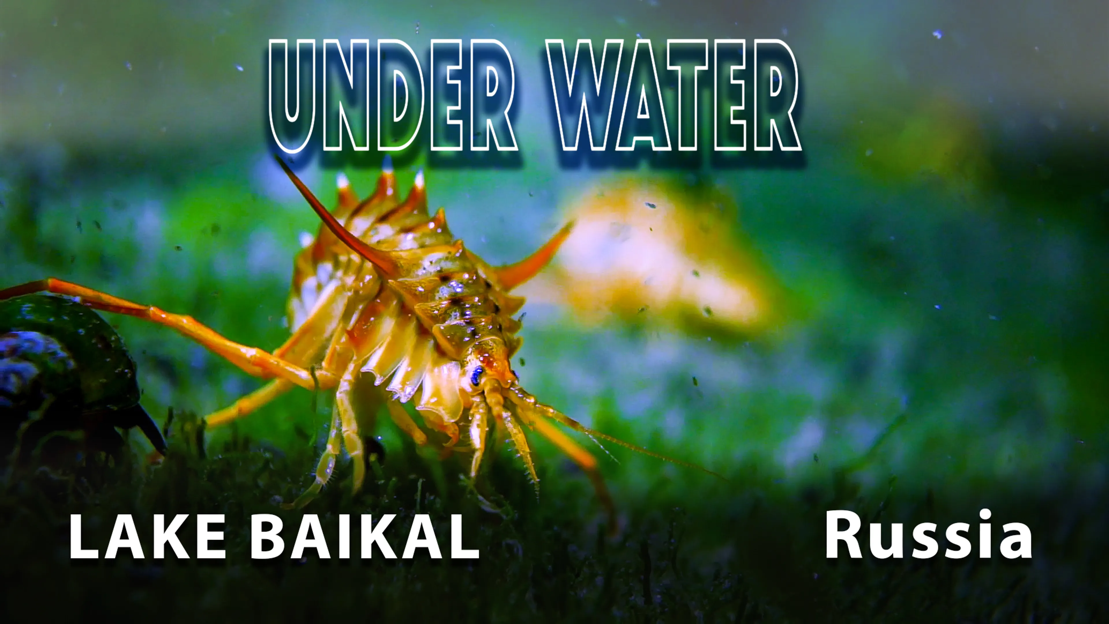 Underwater. Lake Baikal. Russia poster